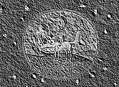 Skamielina