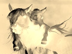 Sepia + Negatyw