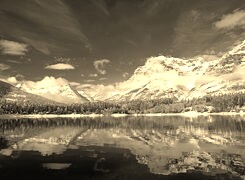 Szary + Sepia