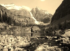 Szary + Sepia