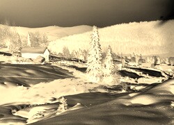 Sepia + Negatyw