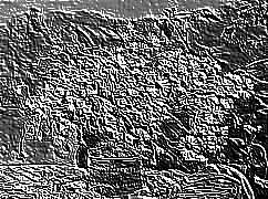 Skamielina