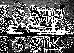 Skamielina