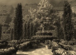Sepia