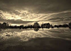 Szary + Sepia