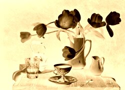 Sepia + Negatyw