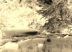 Sepia + Negatyw