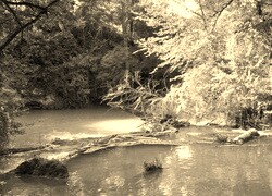 Sepia
