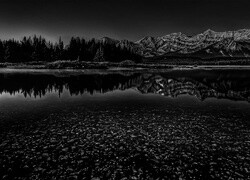 Szary