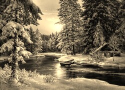 Szary + Sepia