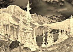 Sepia + Negatyw
