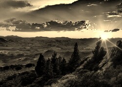 Szary + Sepia