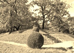 Szary + Sepia