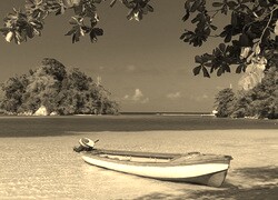 Szary + Sepia