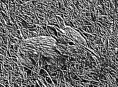 Skamielina