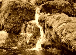 Sepia