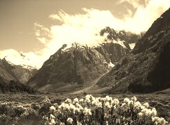 Szary + Sepia