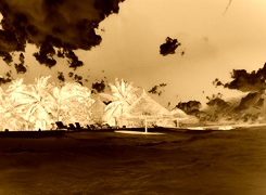 Sepia + Negatyw