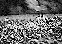 Skamielina