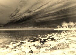 Sepia + Negatyw