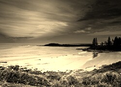 Sepia