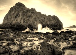 Szary + Sepia