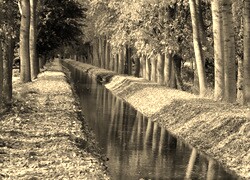 Szary + Sepia