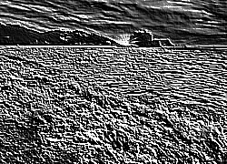 Skamielina