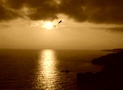 Sepia