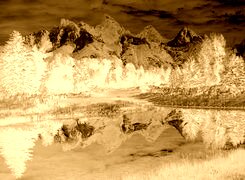 Sepia + Negatyw