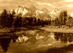 Sepia