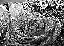 Skamielina