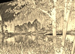 Sepia + Negatyw
