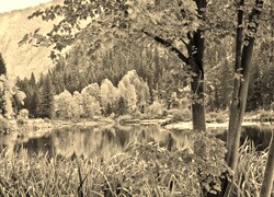 Sepia