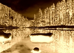 Sepia + Negatyw