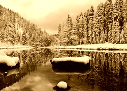 Sepia