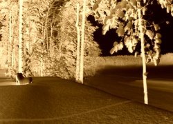 Sepia + Negatyw