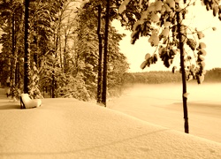 Sepia