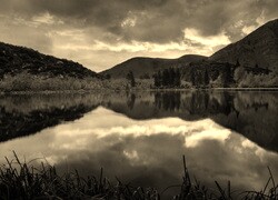 Sepia