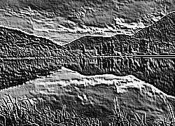 Skamielina