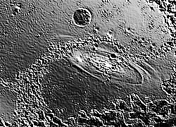Skamielina