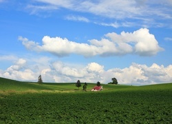 Oryginalny obrazek