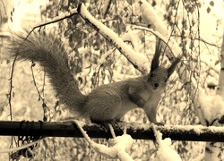 Sepia