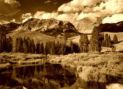Sepia