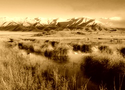 Sepia