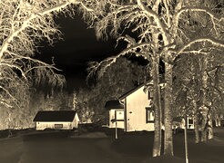 Sepia + Negatyw