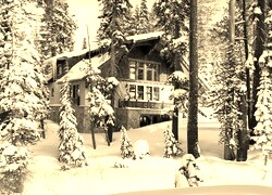 Szary + Sepia