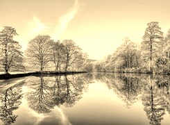 Szary + Sepia