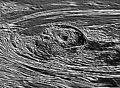 Skamielina