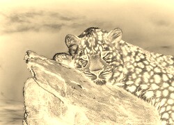 Sepia + Negatyw